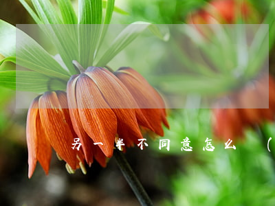 另一半不同意怎么強(qiáng)制離婚