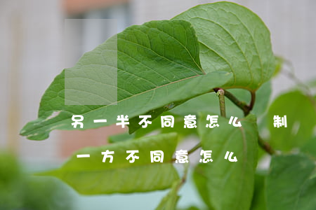 另一半不同意怎么強制離婚(一方同意離婚另一方不同意怎么辦)