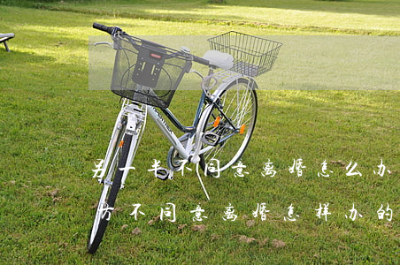 另一半不同意离婚怎么办(一方提出离婚另一方不同意离婚怎样办的)