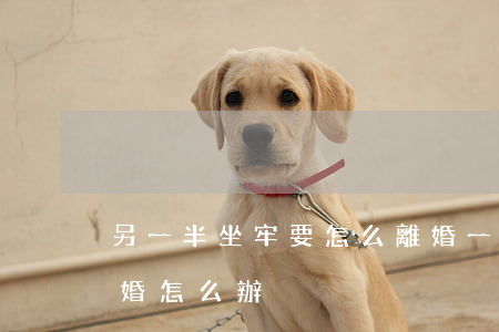 另一半坐牢要怎么離婚(一方坐牢了,一方想離婚怎么辦?)