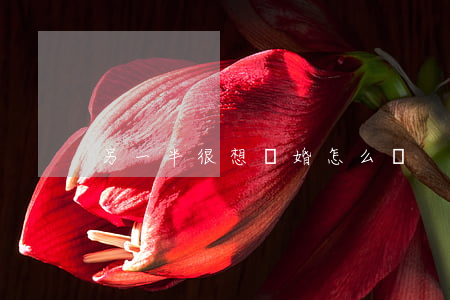 另一半很想離婚怎么辦