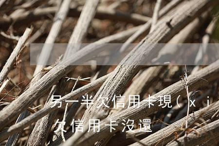 另一半欠信用卡 現(xiàn)在夫妻一方欠信用卡沒還