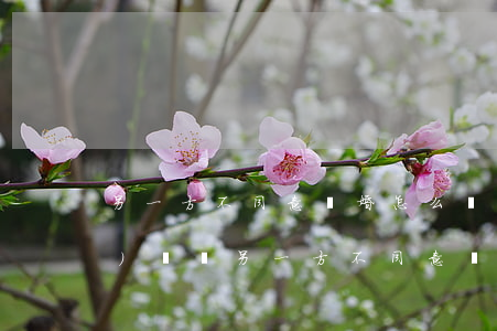 另一方不同意離婚怎么辦(因財產(chǎn)問題另一方不同意離婚怎么辦)