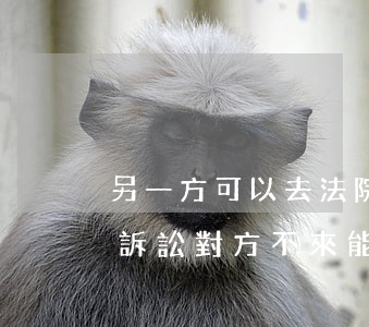另一方可以去法院起訴離婚嗎(法院提起離婚訴訟,對方不來能判離嗎)