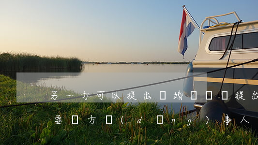另一方可以提出離婚訴訟嗎(提出訴訟離婚需要雙方當(dāng)事人嗎)