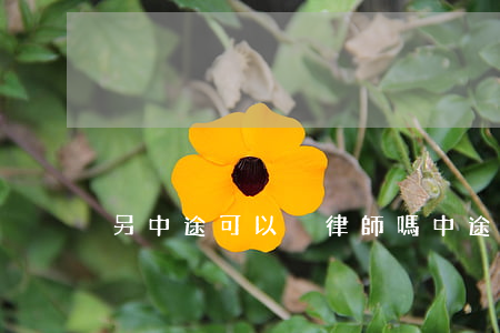 另中途可以換律師嗎(中途換律師有影響嗎)