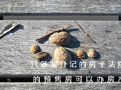 只备案登记的房子法院可以拍卖吗(法院拍卖的预售房可以办房产证吗)
