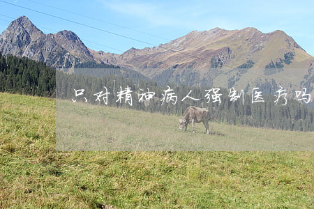 只对精神病人强制医疗吗