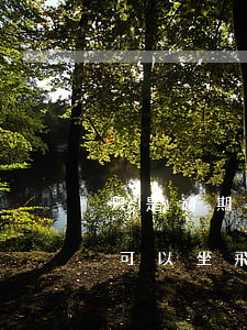 只是逾期沒起訴能坐飛機(jī)嗎(有逾期可以坐飛機(jī)么)