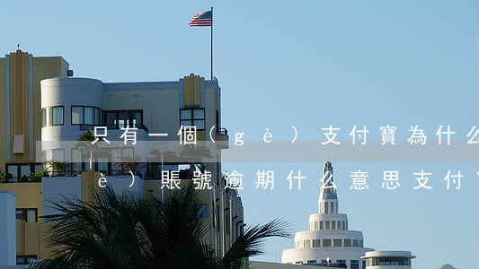 只有一個(gè)支付寶為什么另一個(gè)賬號逾期什么意思（支付寶一個(gè)好逾期其他號）