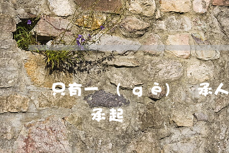 只有一個(gè)繼承人怎么起訴(繼承人放棄繼承起訴誰)