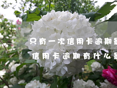 只有一次信用卡逾期影响征信么 征信有一次信用卡逾期有什么影响