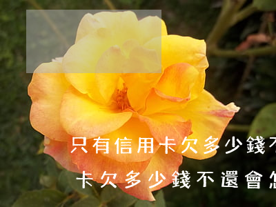 只有信用卡欠多少錢不還會怎樣-只有信用卡欠多少錢不還會怎樣呢