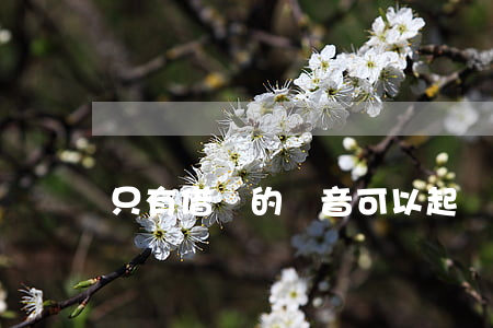 只有借錢的錄音可以起訴嗎