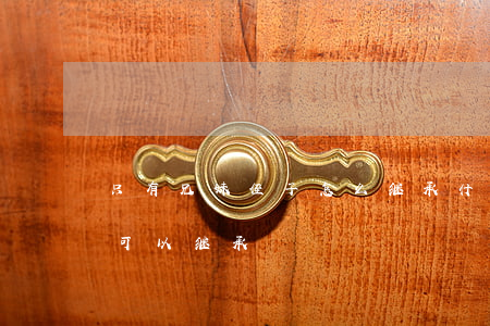 只有兄妹侄子怎么继承(什么情况下兄弟姐妹可以继承)