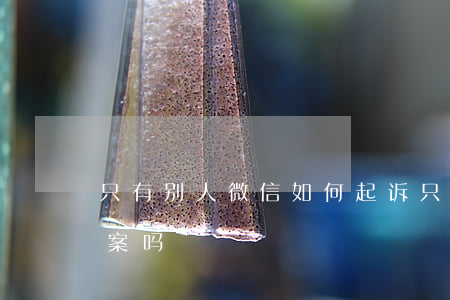 只有别人微信如何起诉(只有对方的微信能立案吗)