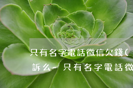 只有名字電話微信欠錢(qián)可以起訴么-只有名字電話微信欠錢(qián)可以起訴么嗎