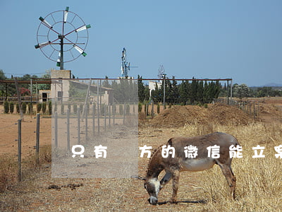 只有對方的微信能立案嗎（只有微信好友能起訴嗎）