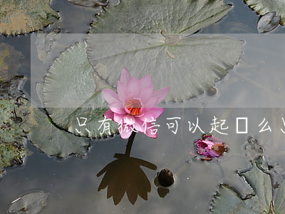 只有微信可以起訴么(只有微信可以起訴么)