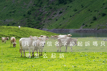只有微信名字能起訴嗎(只有微信名字能起訴嗎怎么起訴)
