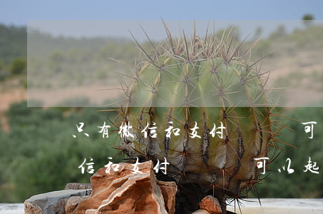 只有微信和支付寶轉賬可以起訴嗎-只有微信和支付寶轉賬可以起訴嗎法院