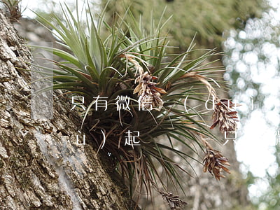 只有微信對(duì)賬單可以做證據(jù)起訴嗎-只有微信對(duì)賬單可以做證據(jù)起訴嗎有效嗎