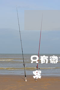 只有微信怎么起訴立案(只有微信怎么起訴立案)