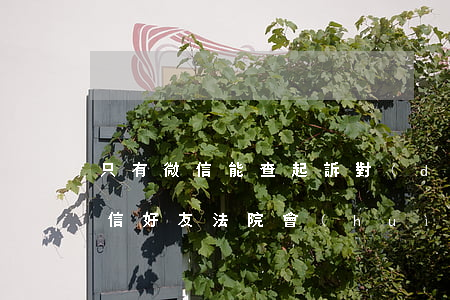 只有微信能查起訴對(duì)方-起訴微信好友法院會(huì)幫忙調(diào)查對(duì)方真實(shí)信息嗎