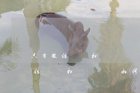 只有微信記錄和電話記錄如何起訴-只有微信記錄和電話記錄如何起訴對方
