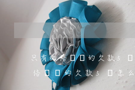 只有微信記錄的欠款5萬怎么起訴-只有微信記錄的欠款5萬怎么起訴呢