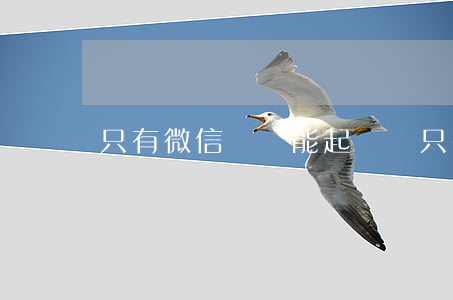 只有微信記錄能起訴嗎（只有微信記錄能起訴嗎）