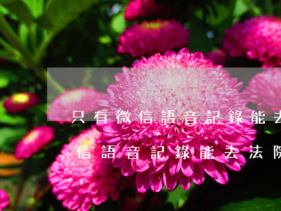 只有微信語音記錄能去法院起訴嗎-只有微信語音記錄能去法院起訴嗎