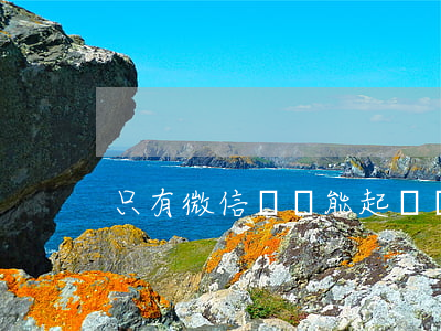 只有微信轉賬能起訴嗎