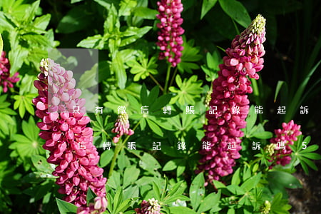 只有微信轉賬記錄能起訴嗎500-只有微信轉賬記錄能起訴嗎5000元