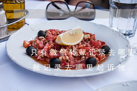 只有微信转账记录去哪里起诉-只有微信转账记录去哪里起诉他