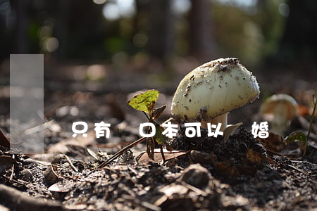 只有戶口本可以離婚嗎