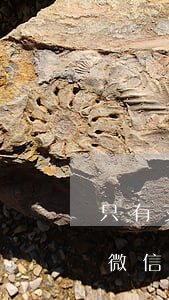 只有支付寶可以起訴嗎(只有對(duì)方微信支付寶怎么起訴)