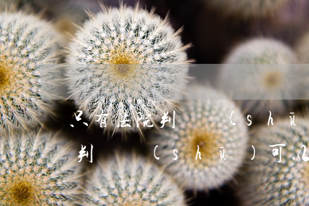 只有法院判決書(shū)可以遷戶口嗎(有判決書(shū)可以遷戶口嗎 沒(méi)有戶口本)