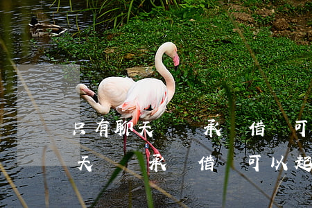 只有聊天記錄承認借錢可以起訴嗎-只有聊天記錄承認借錢可以起訴嗎法院