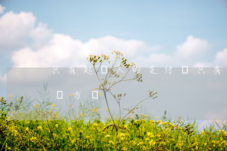 只有起訴人的支付寶(只有支付寶賬戶能起訴對方嗎)