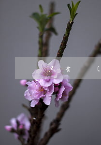 只有轉(zhuǎn)賬憑證可以去法院起訴嗎(銀行轉(zhuǎn)賬憑證可以作為法院證據(jù)嗎?)