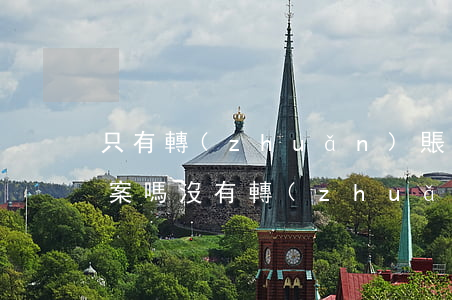 只有轉(zhuǎn)賬記錄 立案詐騙能破案嗎(沒有轉(zhuǎn)賬記錄能定詐騙罪嗎)