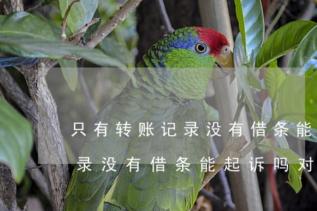 只有转账记录没有借条能起诉吗(只有转账记录没有借条能起诉吗,对方把我微信删除了)