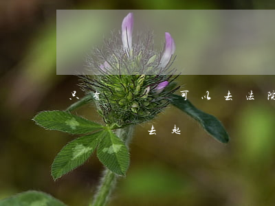 只有駕駛證可以去法院起訴嗎(可以用被告的駕駛證去起訴嗎)