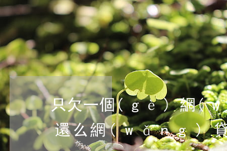 只欠一個(gè)網(wǎng)貸可以不還么(網(wǎng)貸好多人不還了)