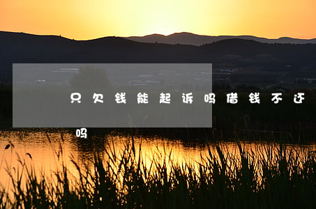只欠钱能起诉吗(借钱不还只有欠条可以起诉吗)