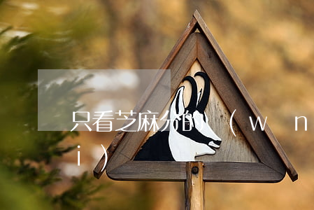 只看芝麻分的網(wǎng)貸平臺(tái)