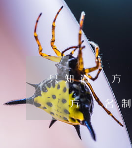 只知道對方實名制微信可以起訴嗎-只知道對方實名制微信可以起訴嗎怎么辦