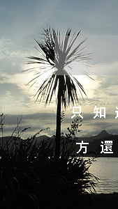 只知道微信如何起訴(只知道微信號能起訴對方還錢嗎)