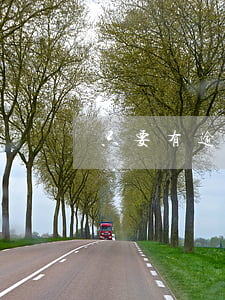 只要有逾期就会上报征信吗